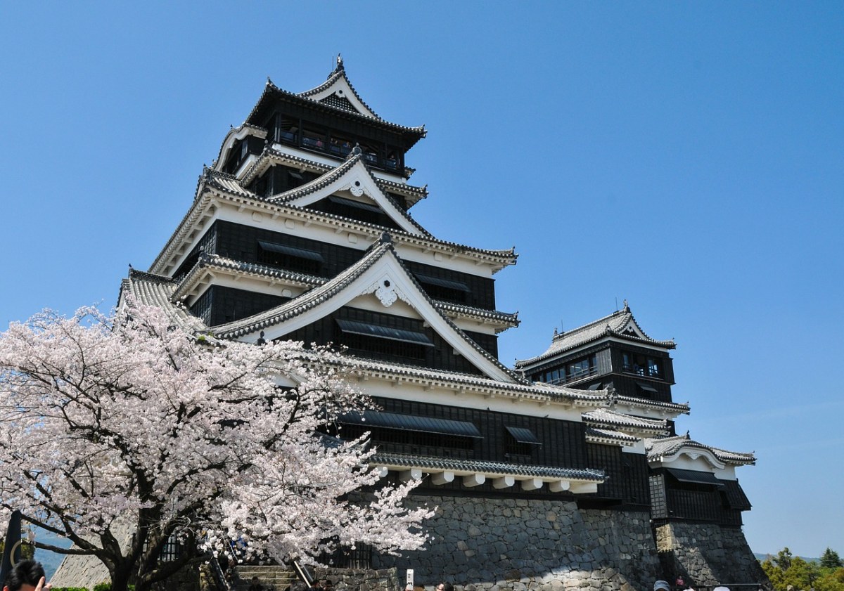 日本天守阁与春天的樱花图片免费图片