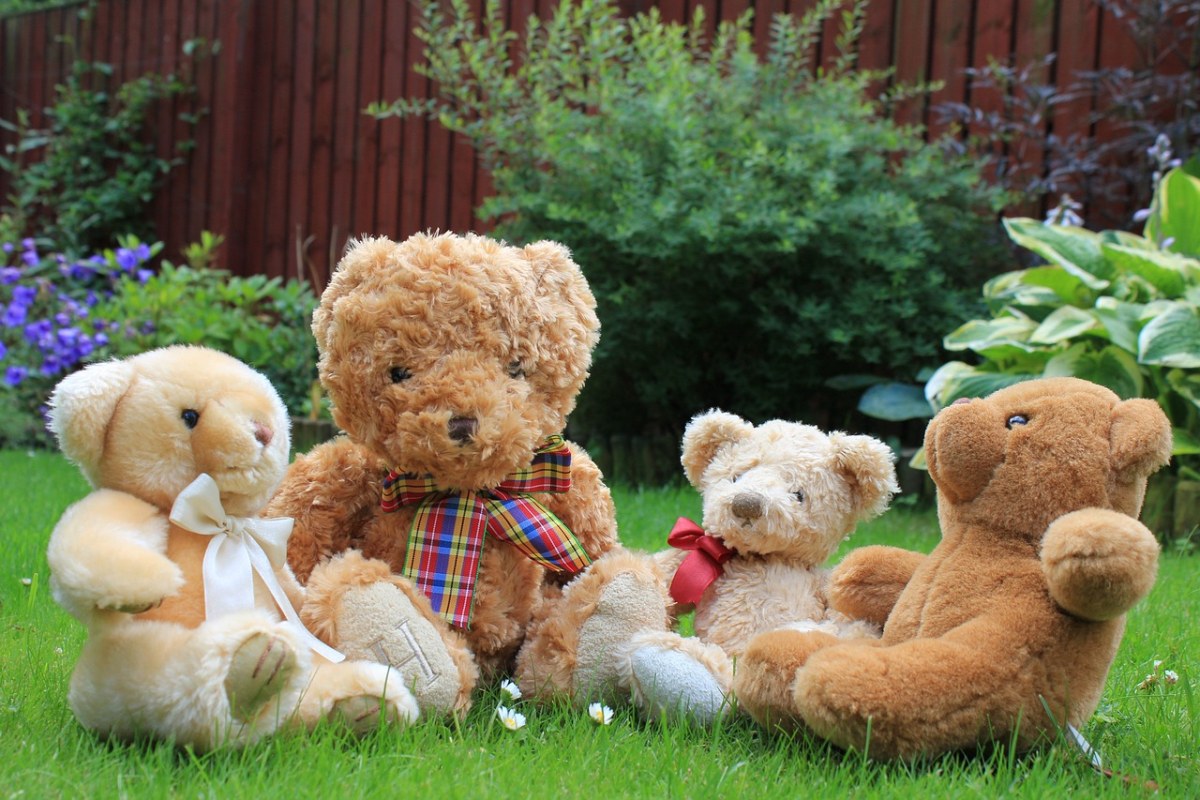 泰迪、熊、毛绒玩具免费图片