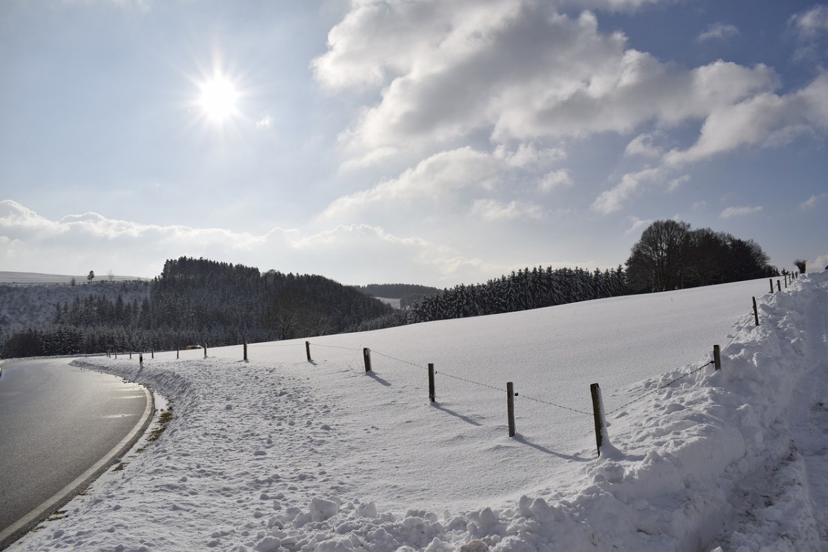 冬季仙境、相符的行辕、雪免费图片