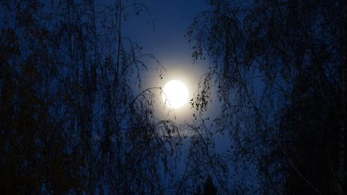 夜、月亮、月光