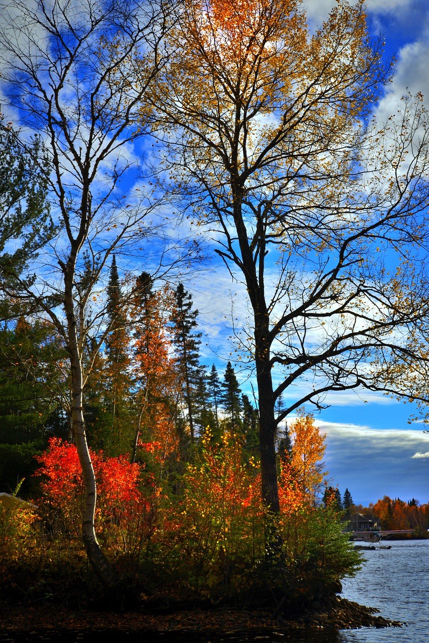 秋季景观、秋天、颜色免费图片