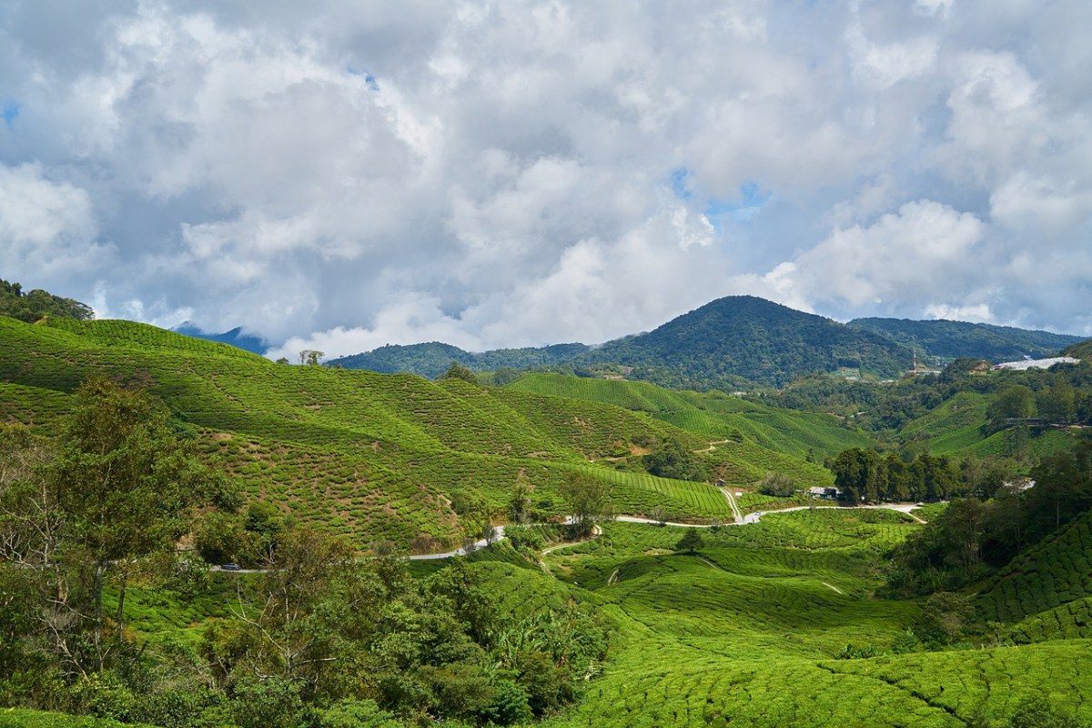 山,綠色,藍色