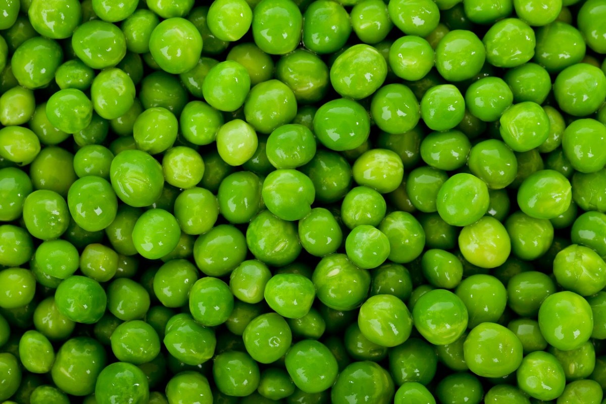 绿色的豌豆免费图片