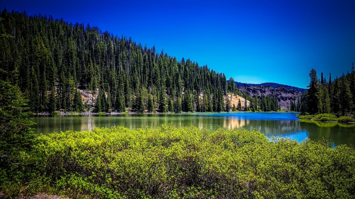 托德湖、俄勒冈、景观免费图片