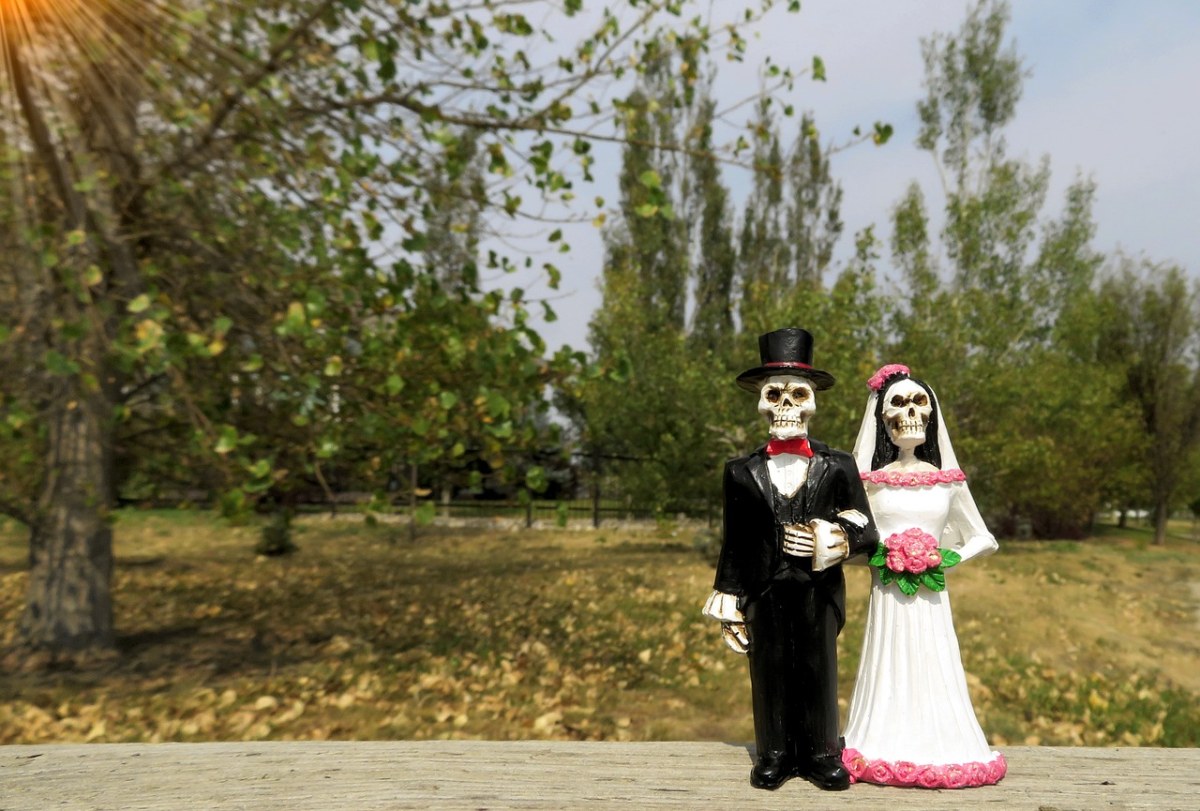 新娘、马夫、骨架免费图片