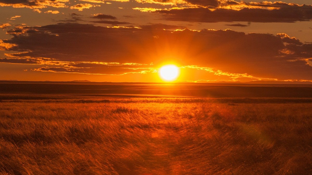蒙古、日落、照明免费图片