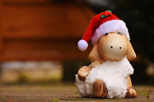 圣诞节、羊、德卡