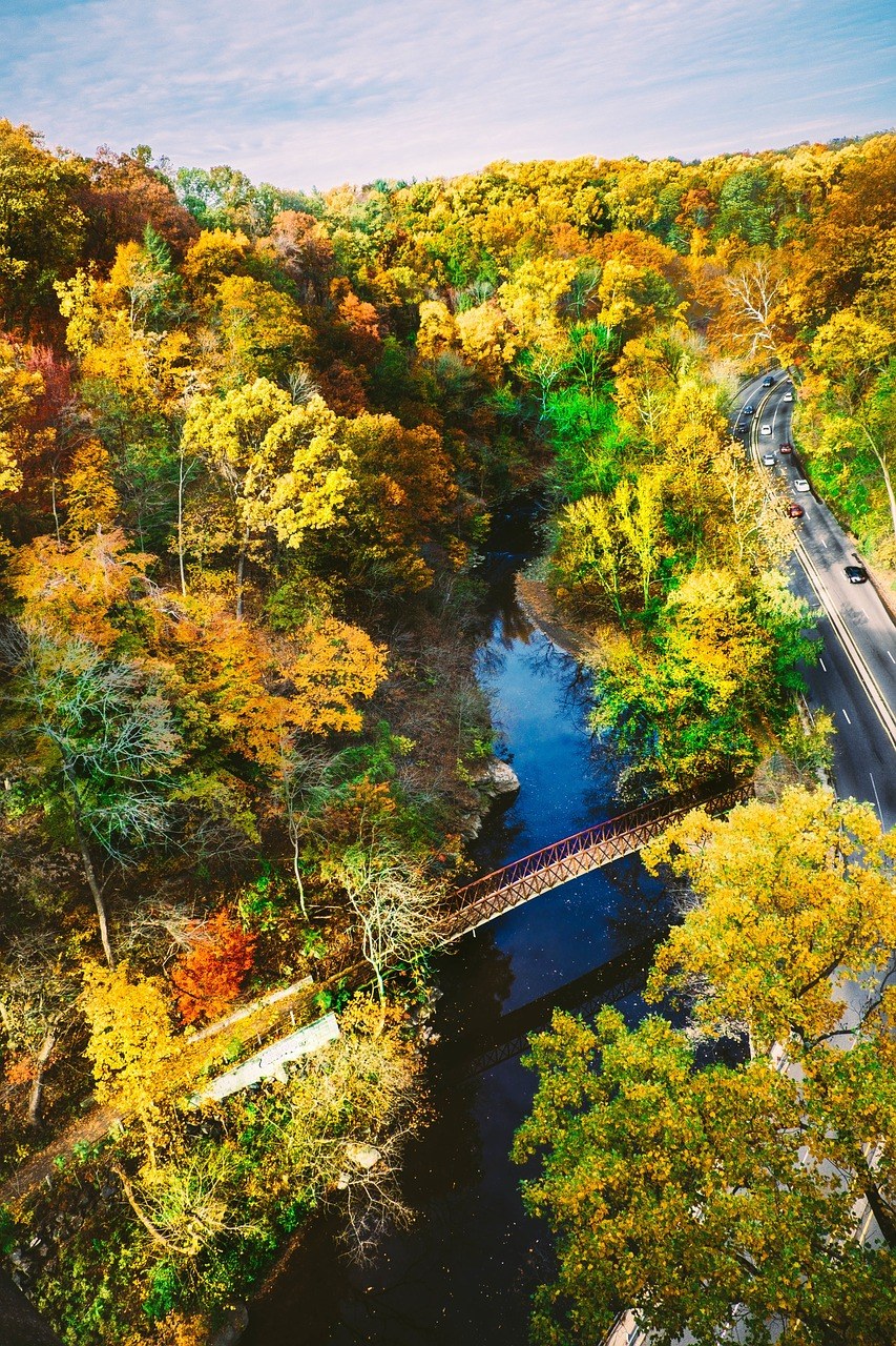桥、河、森林免费图片