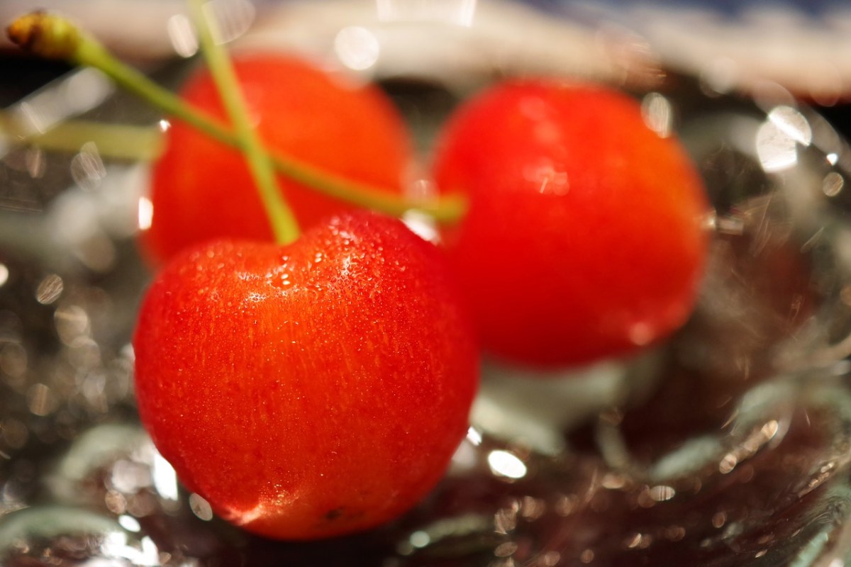水果、和樱桃、佐藤锦免费图片