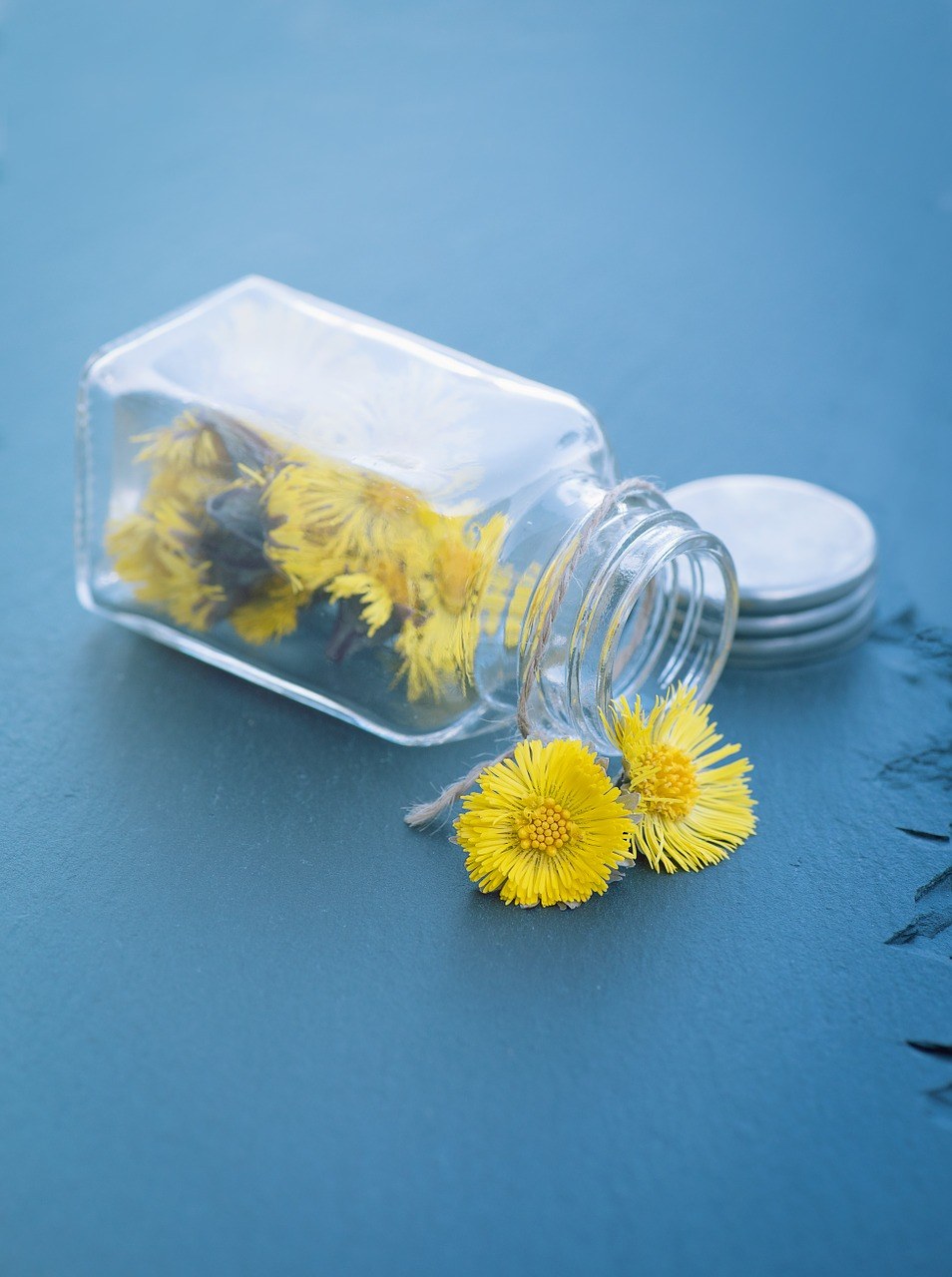 玻璃瓶中的黄色花朵免费图片