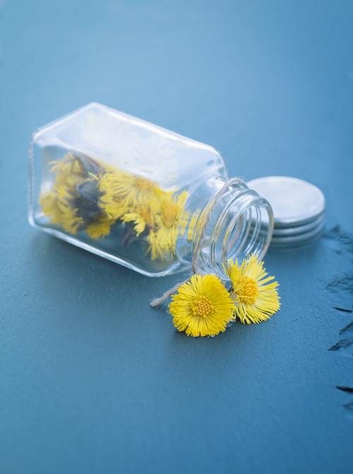 玻璃瓶中的黄色花朵
