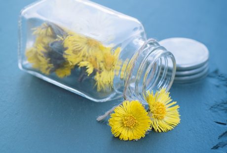 玻璃瓶中的黄色花朵
