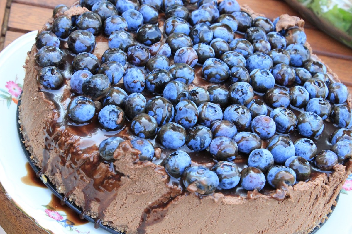巧克力蛋糕上的蓝莓免费图片
