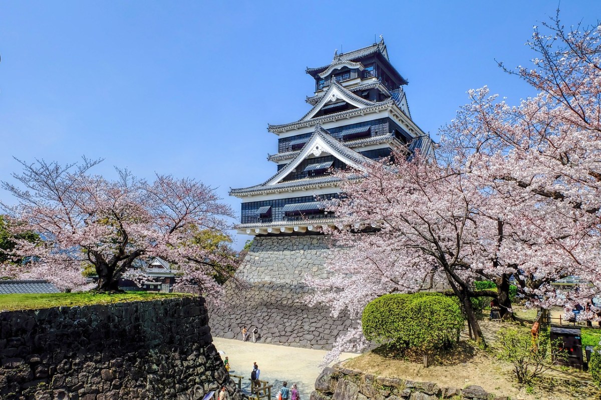 日本熊本城的天守阁与日本樱花免费图片