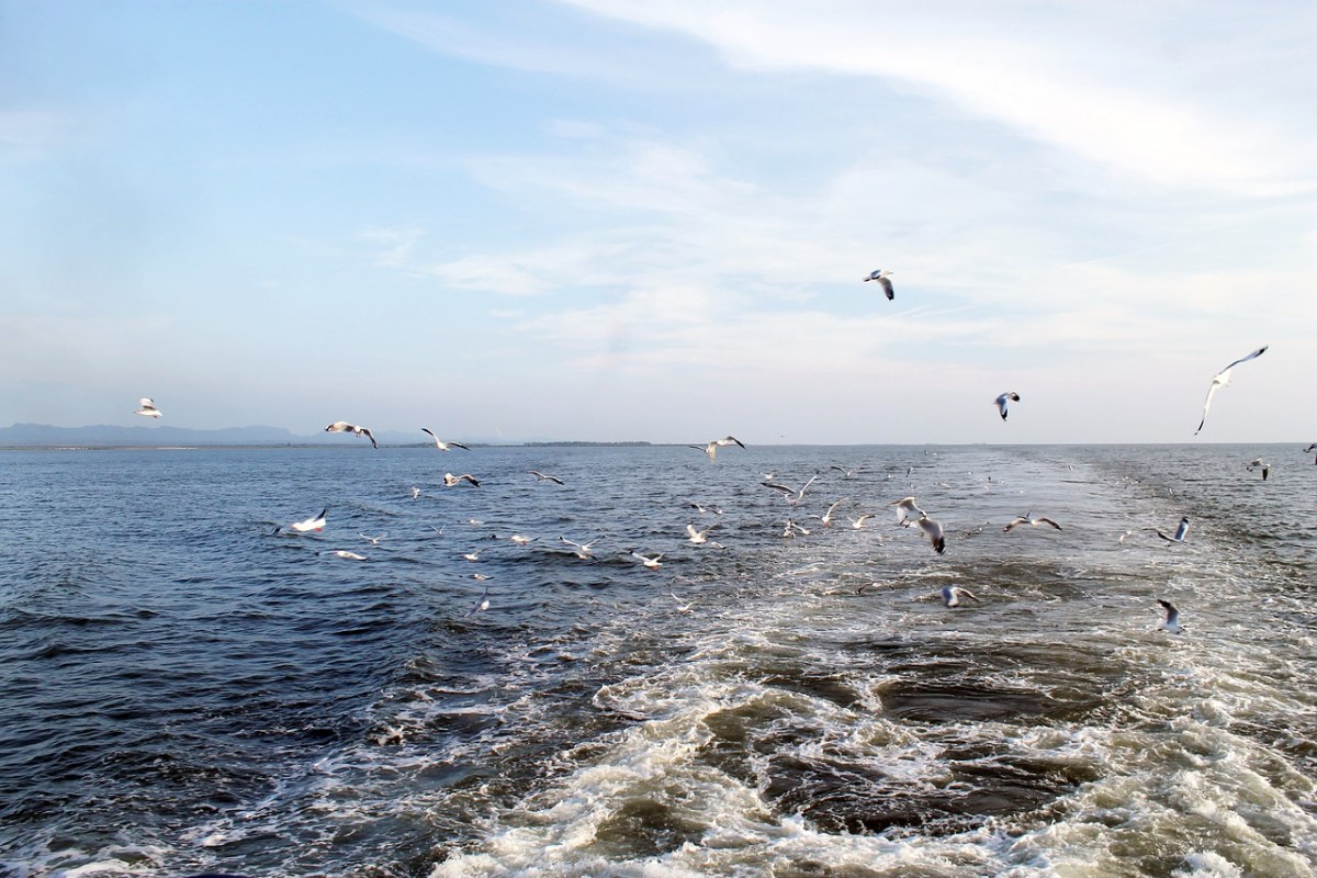 海,孟加拉湾,旅行