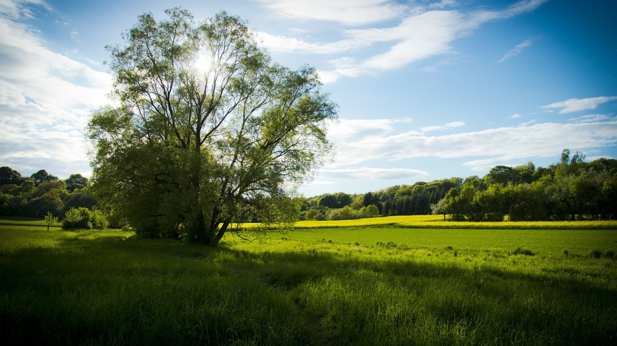 绿色生态田园风景图片免费图片