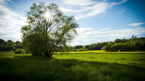 绿色生态田园风景图片