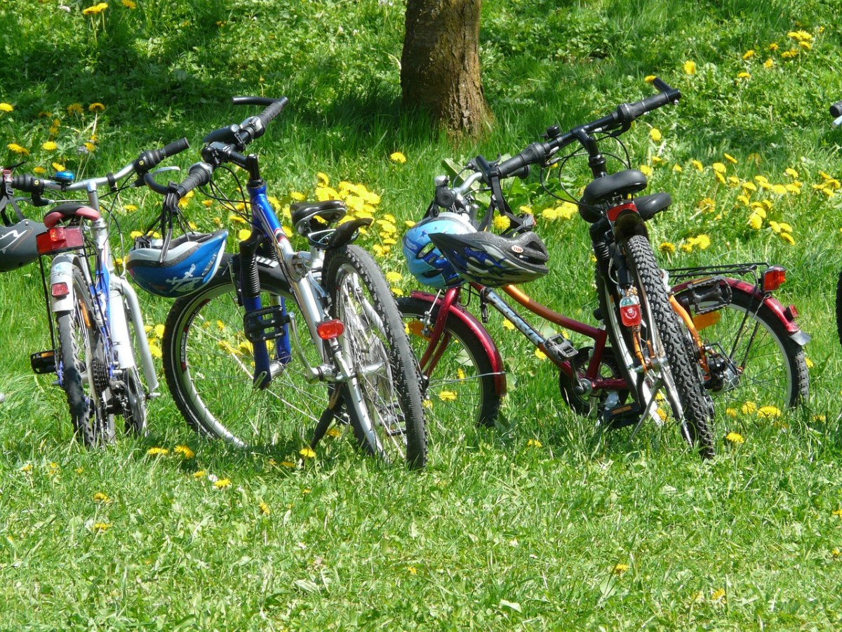 春天户外草地上的自行车（关于踏春）图片免费图片