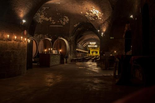 地窖、酒、葡萄酒桶
