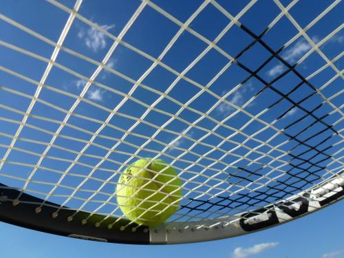 网球、网球拍、体育