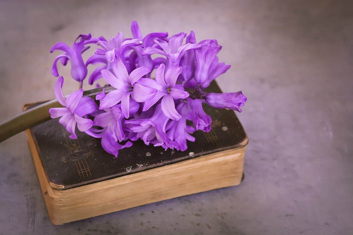 书籍上紫色的花朵免费图片