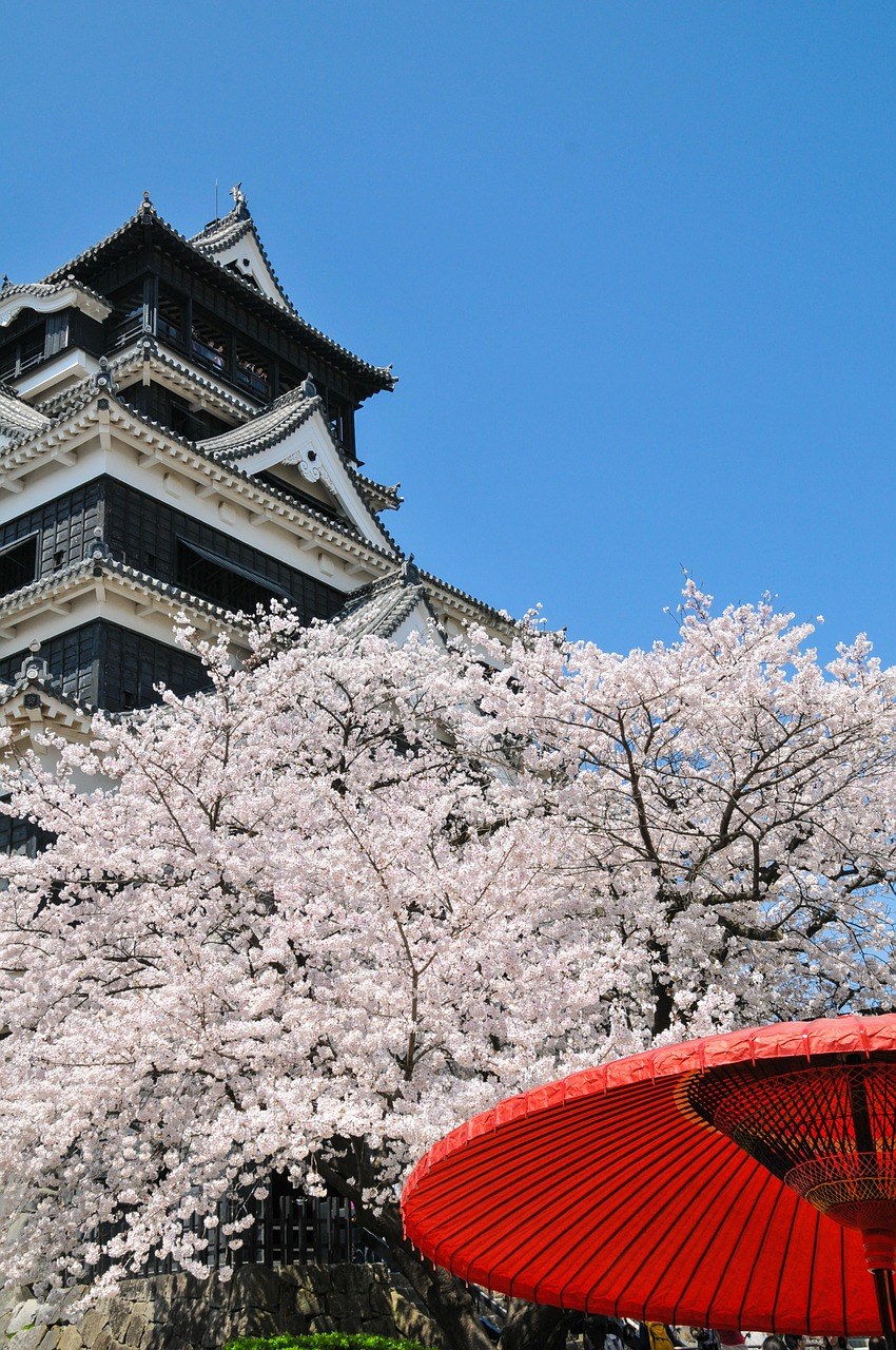 日本天守阁建筑与春天的樱花树免费图片