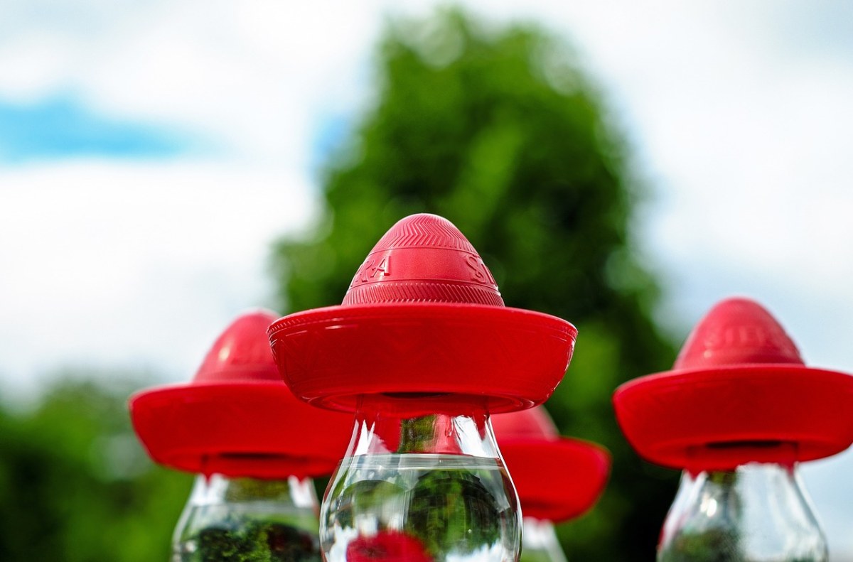 宽边帽、墨西哥帽、红色免费图片