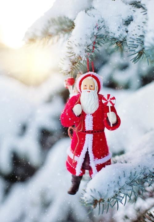 圣诞老人装饰、雪树、雪