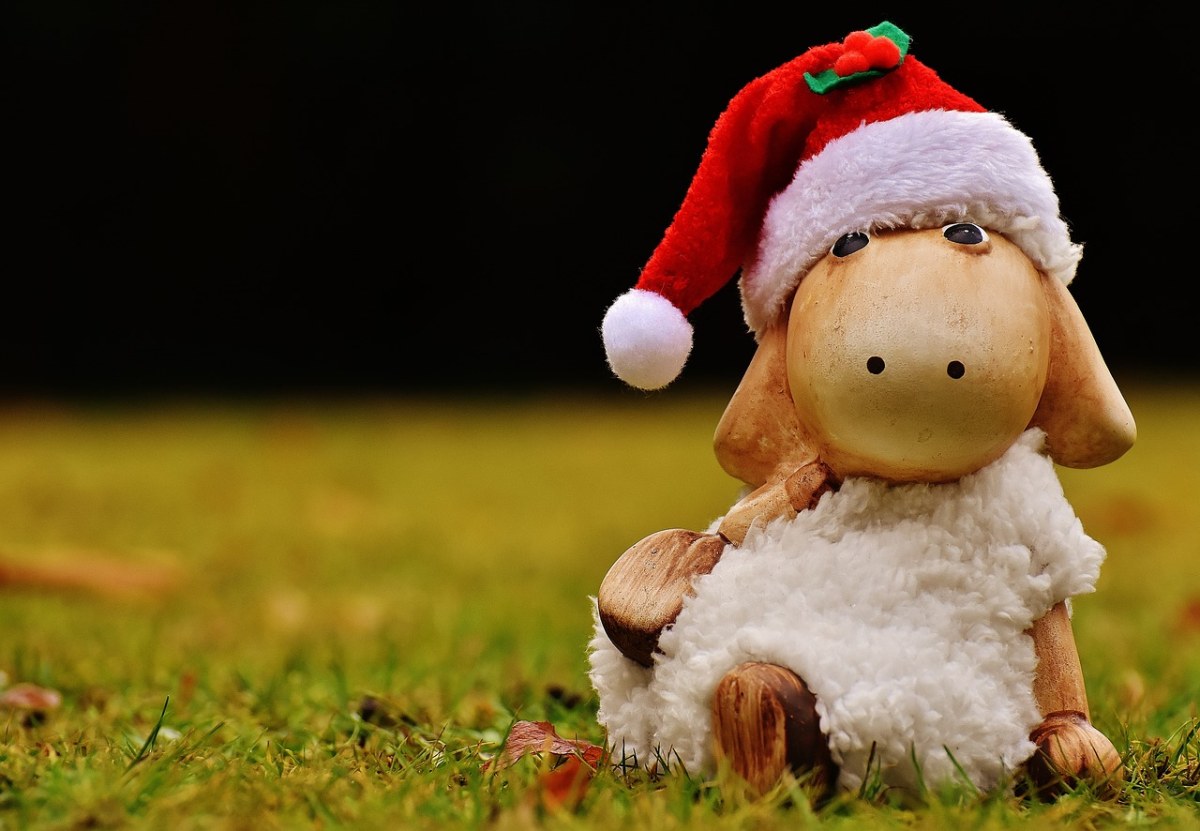 圣诞节、羊、德卡免费图片