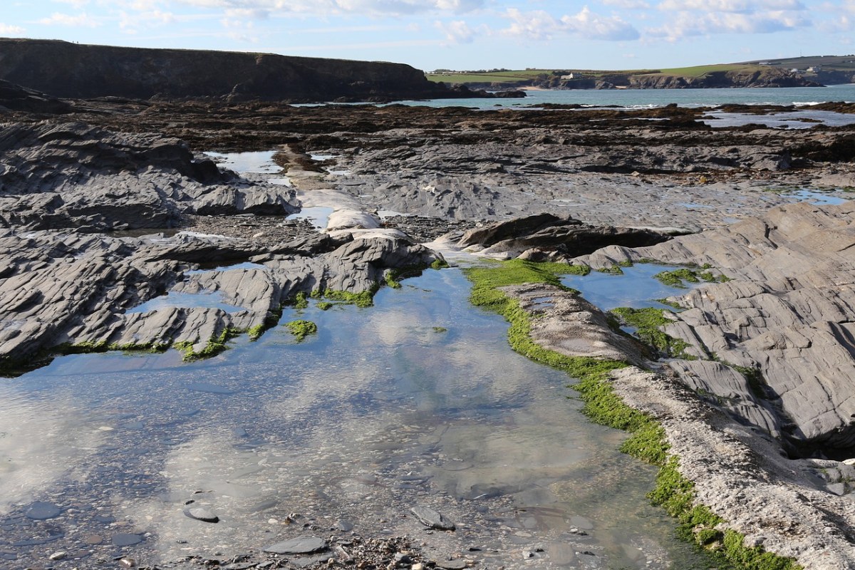 rockpool餐馆,水,海