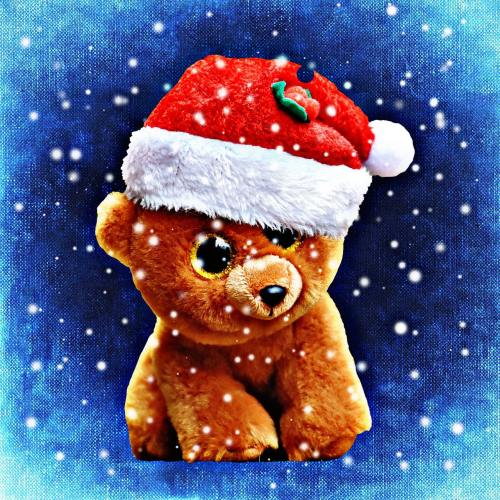 圣诞节、泰迪熊、熊