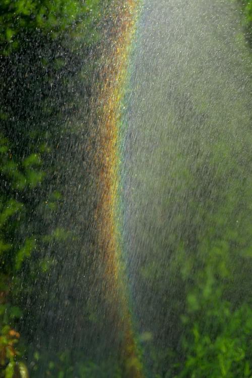 彩虹、水、喷雾