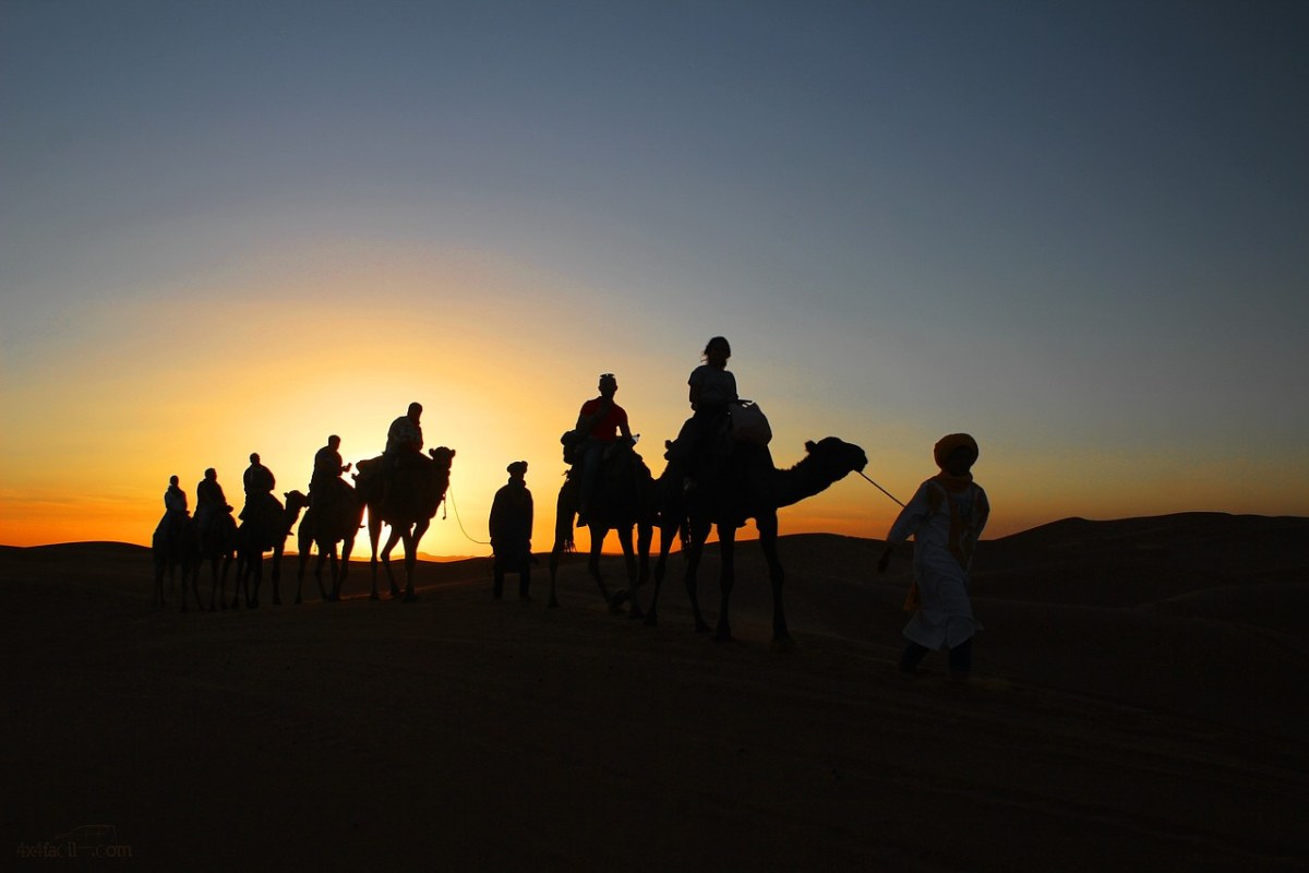 沙漠中的骆驼驼队剪影免费图片