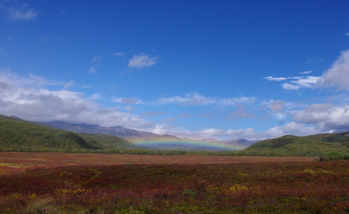 秋季、彩虹、苔原免费图片