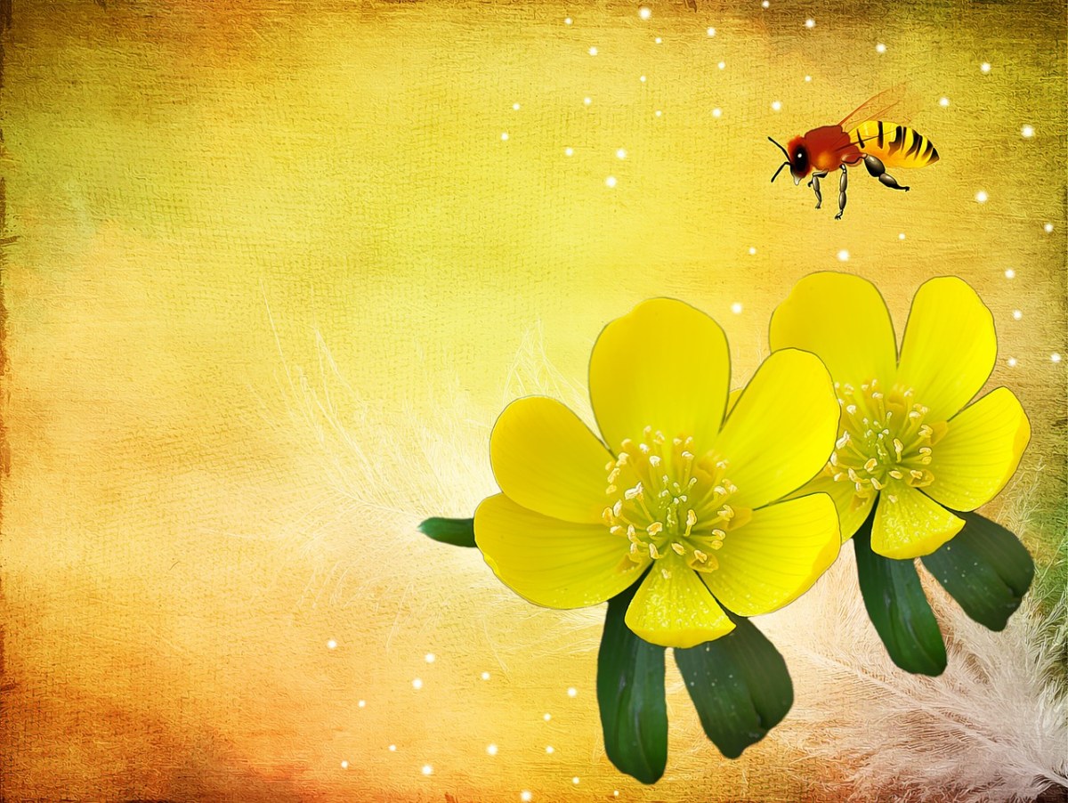 蜜蜂与花朵的背景图免费图片