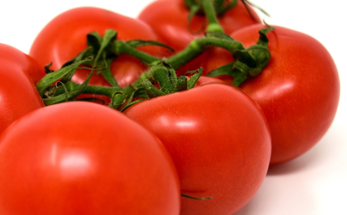 蕃茄、蔬菜、健康免费图片