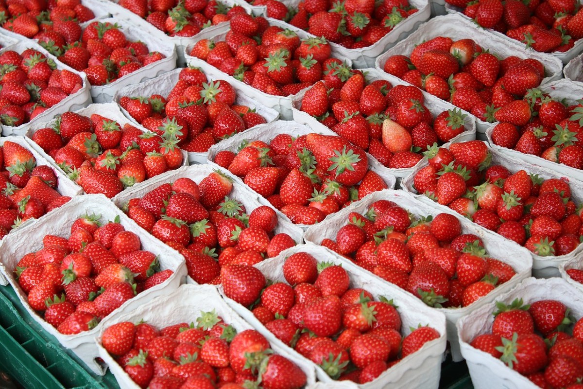 草莓、夏季、水果免费图片