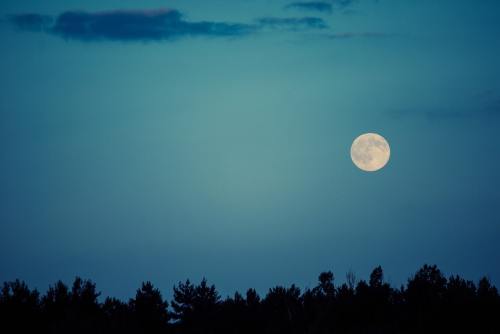 月亮、天空、夜
