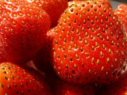 草莓、圆润的、红色