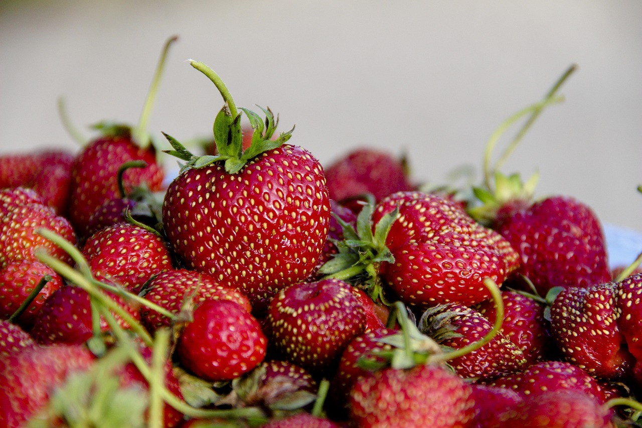 草莓,莓果,水果