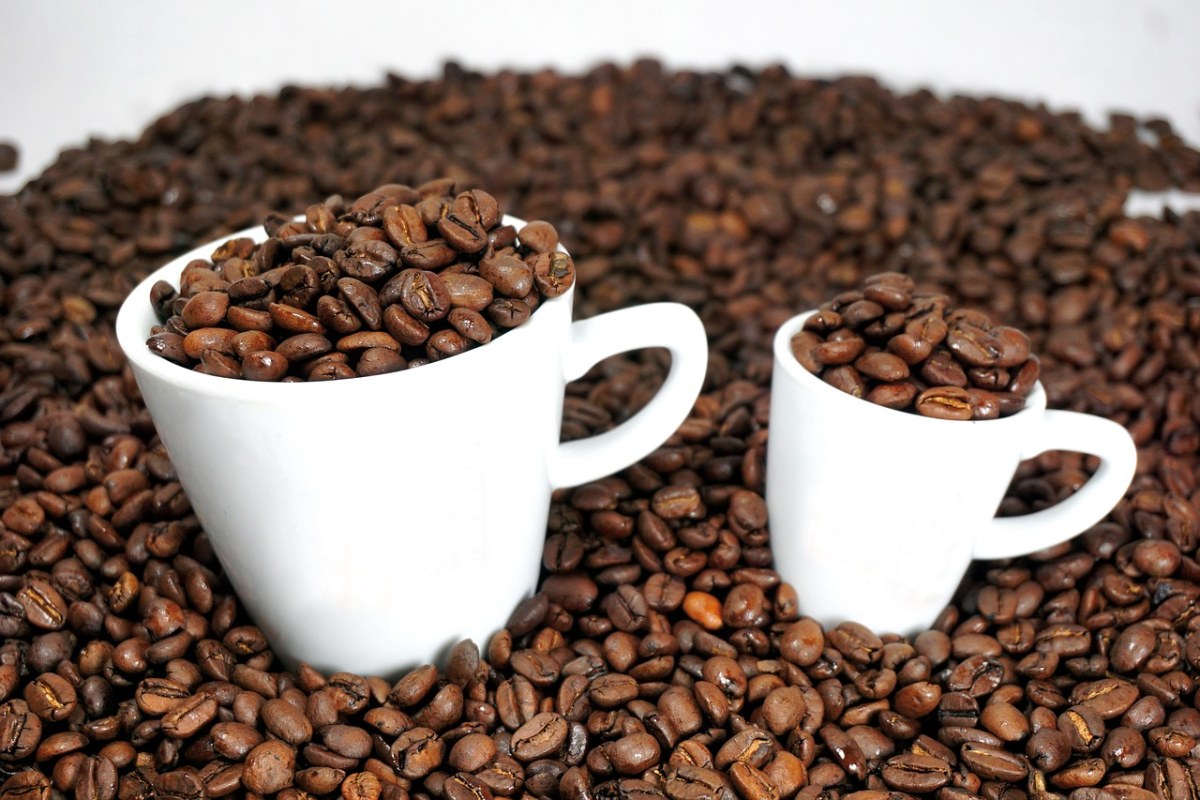 咖啡、咖啡因免费图片