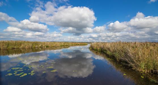 天空的云朵与湿地湖泊风景