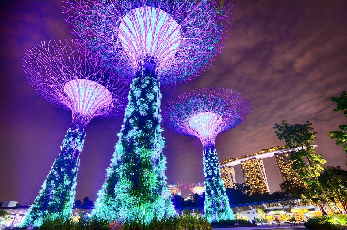 新加坡、海湾花园、长时间曝光免费图片
