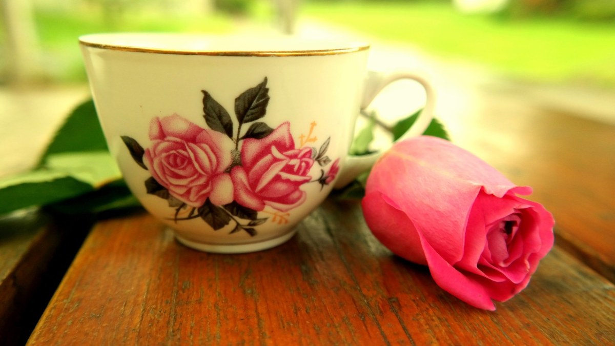 茶杯,玫瑰,开花