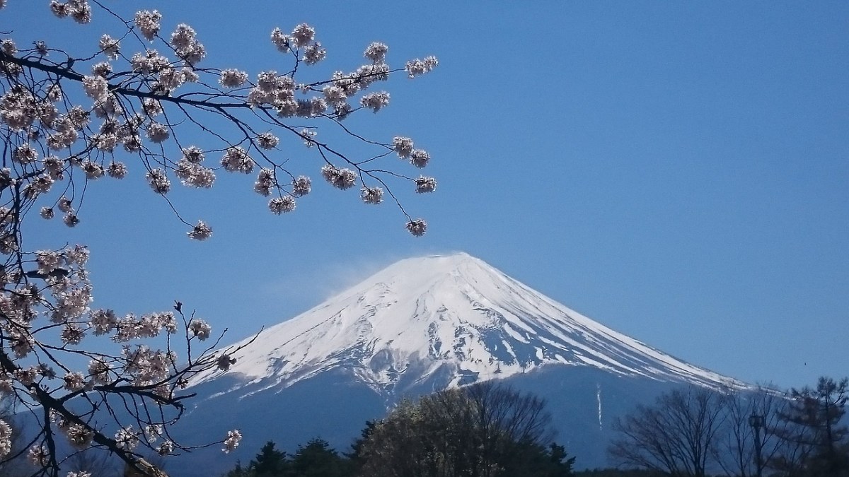 富士山、春天、樱桃树免费图片
