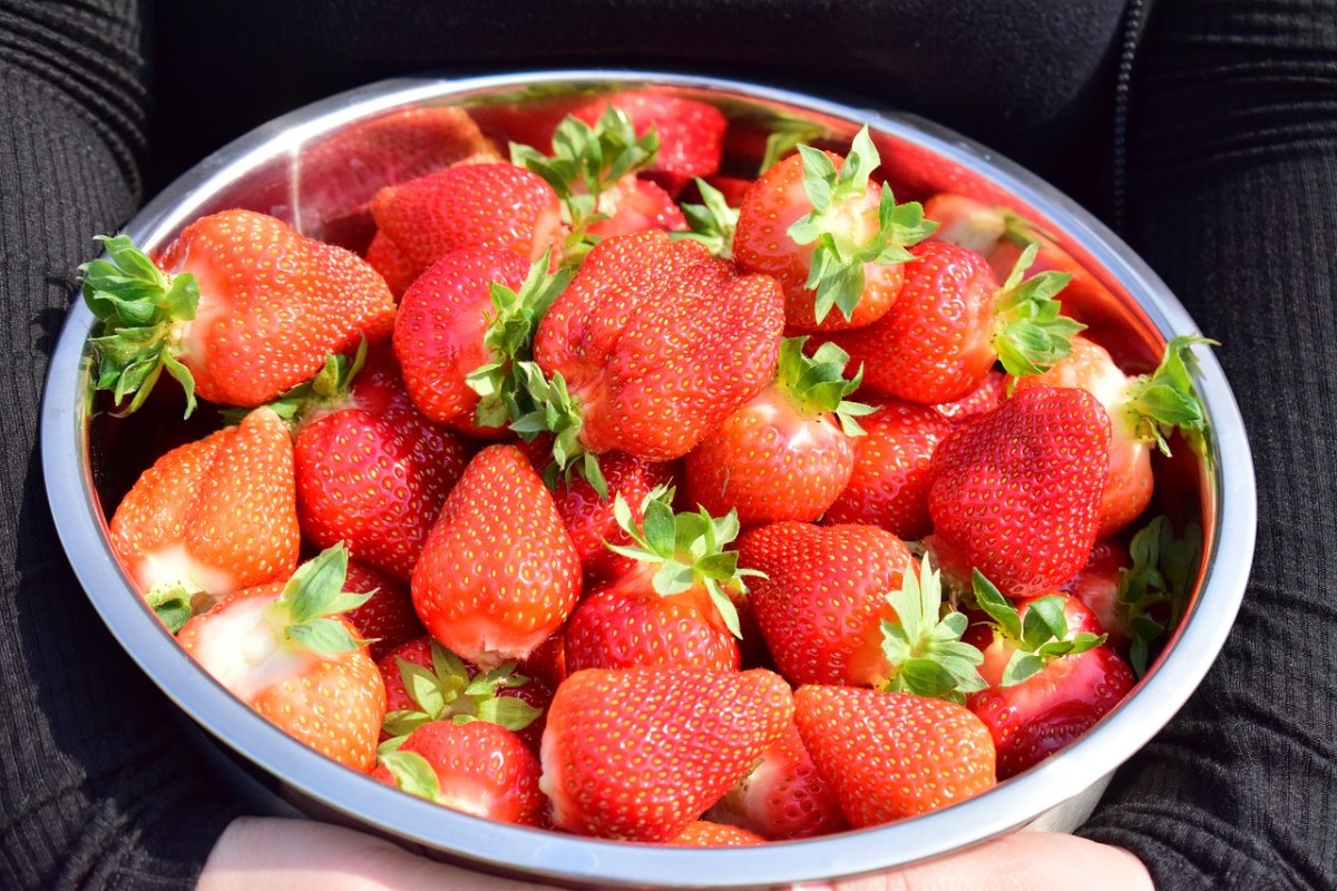草莓、红色、水果免费图片