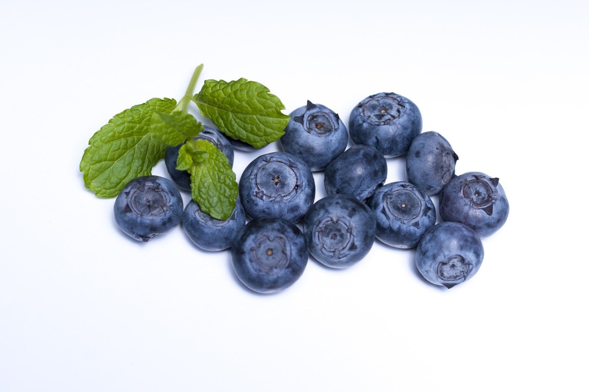 蓝莓、水果、食品免费图片