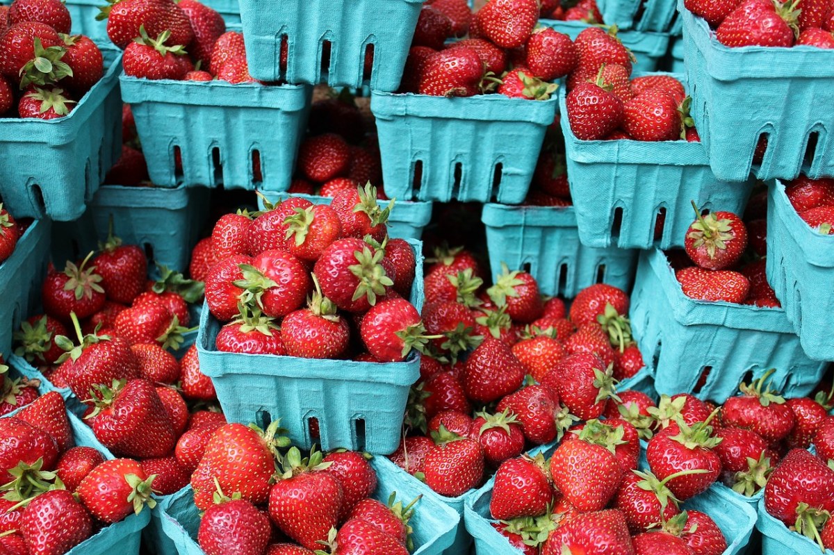 草莓、浆果、新鲜免费图片