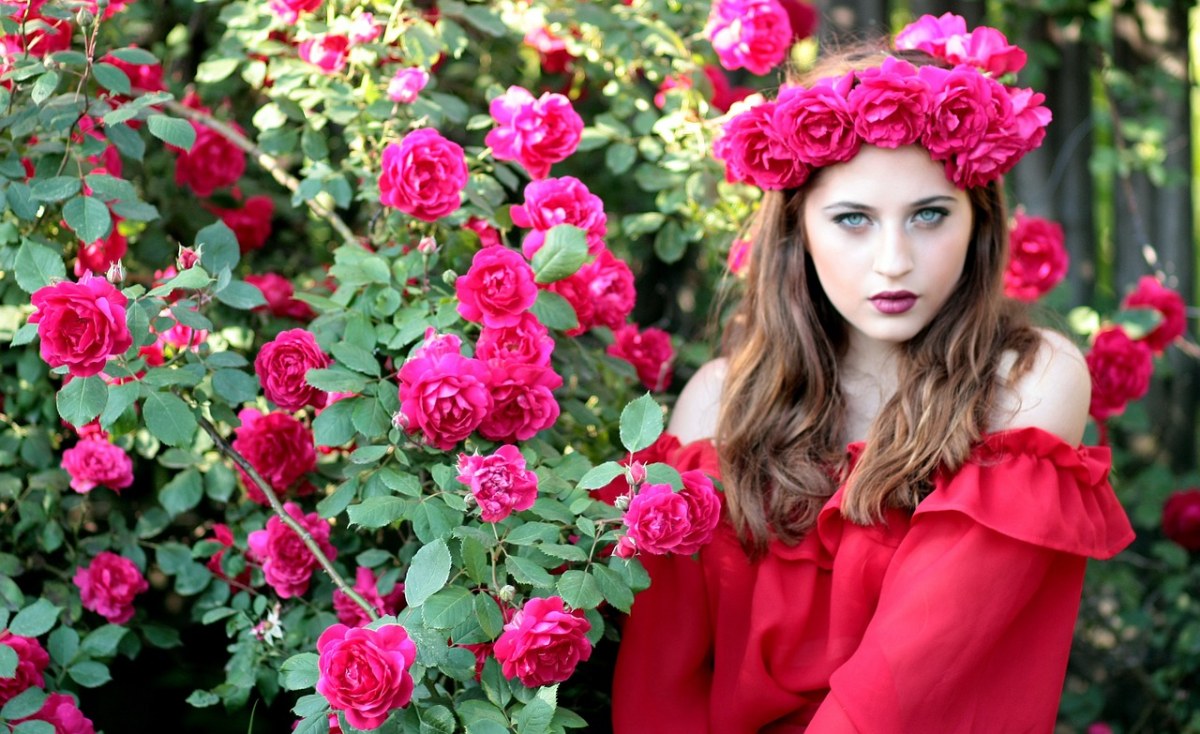 女孩、玫瑰、红色免费图片
