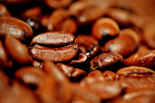 咖啡豆、咖啡、刺激物